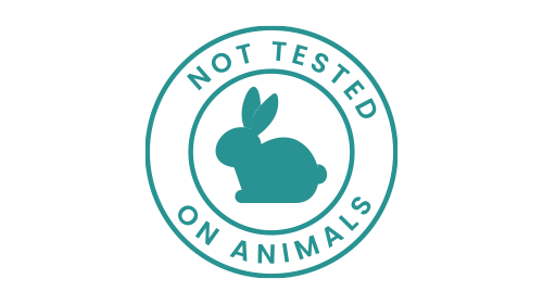 Inicio 232 no-tested